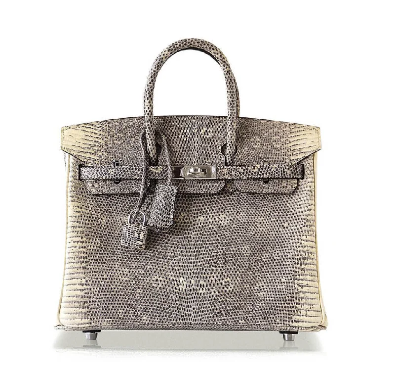 Hermes Birkin 25 Ombre Lizard Bag PHW